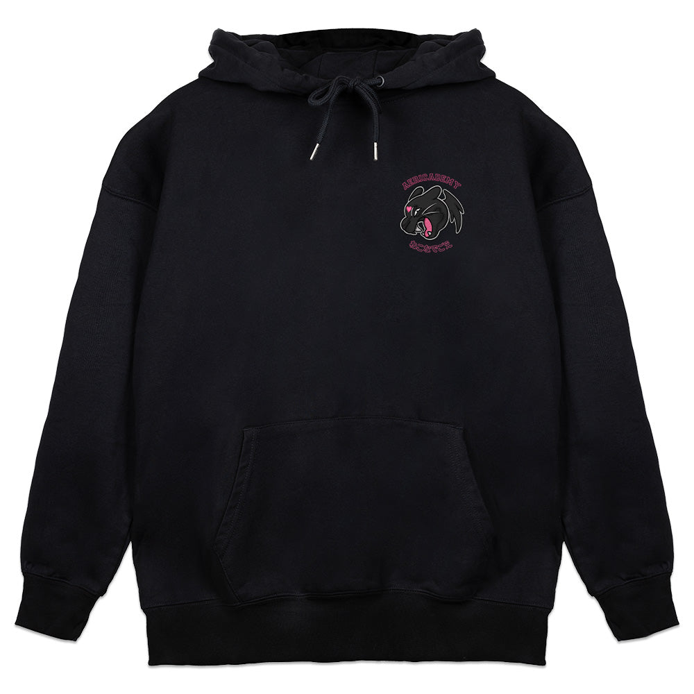 Aeriettie Aericademy Hoodie
