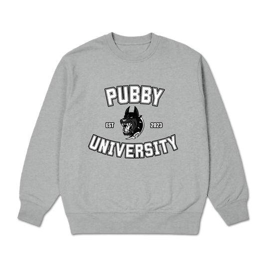 RayaRiot University Crewneck (Gray)